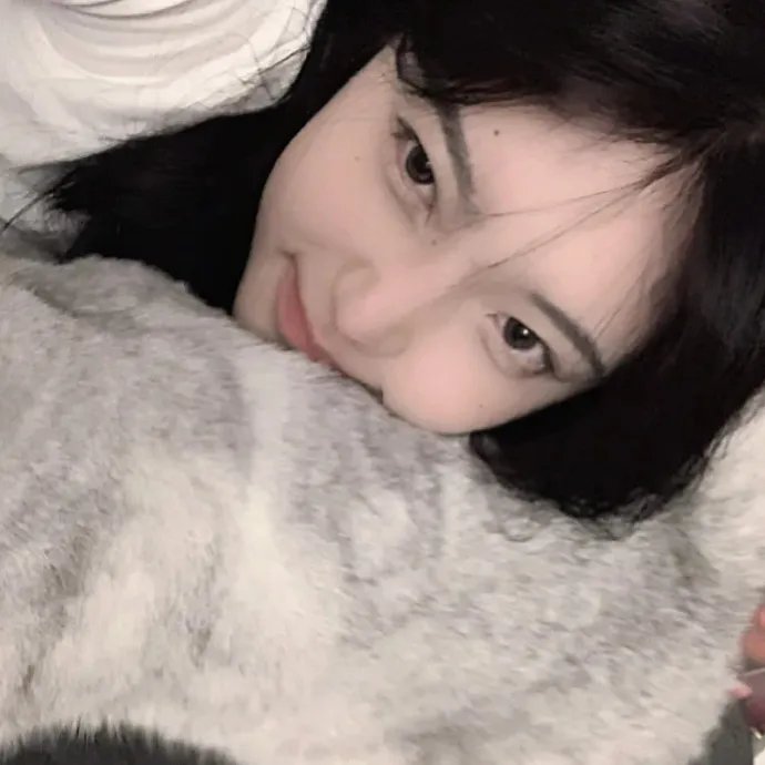 棕榈泉圣诞夜封面