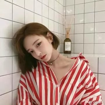 疯狗马子封面